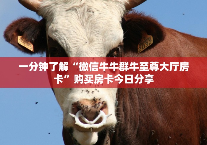 一分钟了解“微信牛牛群牛至尊大厅房卡”购买房卡今日分享 一分钟了解“微信牛牛群牛至尊大厅房卡”购买房卡今日分享