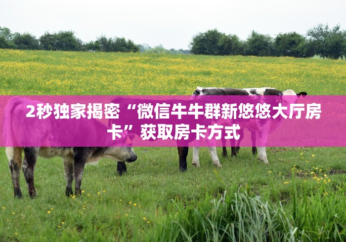 秒懂普及“新东游链接金花大厅房卡”哪里买房卡获取链接 秒懂普及“新东游链接金花大厅房卡”哪里买房卡获取链接