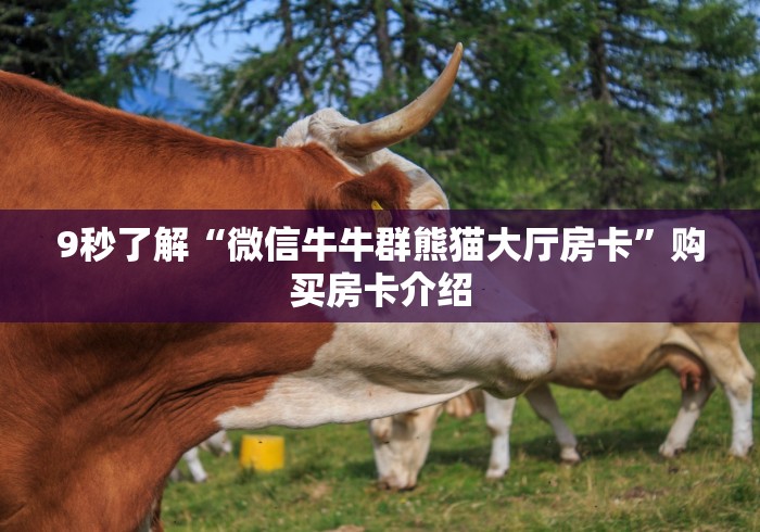 9秒了解“微信牛牛群熊猫大厅房卡”购买房卡介绍 9秒了解“微信牛牛群熊猫大厅房卡”购买房卡介绍