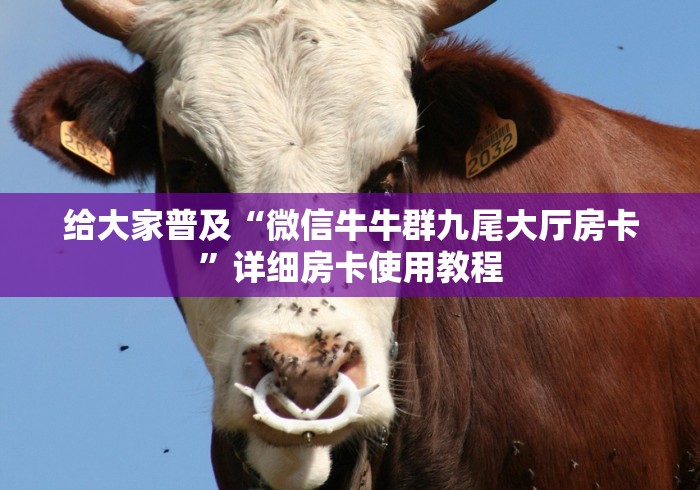 给大家普及“微信牛牛群九尾大厅房卡”详细房卡使用教程