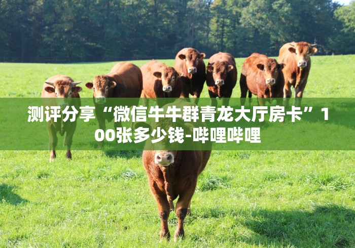 测评分享“微信牛牛群青龙大厅房卡”100张多少钱-哔哩哔哩